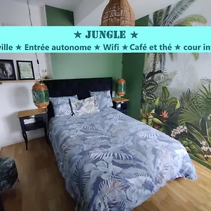 T2 Jungle Centre De Au Calme Coté Cour Francia
